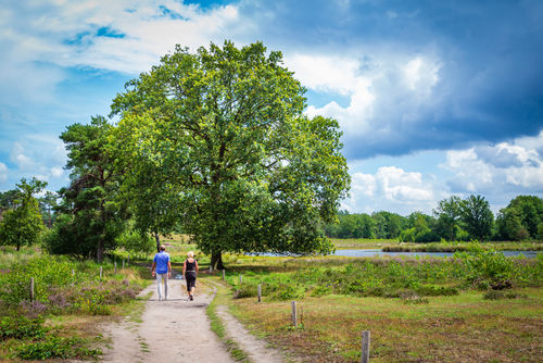 Wandelen in de natuur