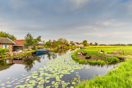 Schone lucht zuid holland