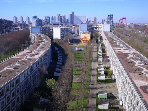 Het langste natuurdak van Nederland 