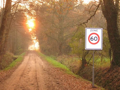 Adaptief wegbeheer: Besparing door voortijdige keuzes in beleid  