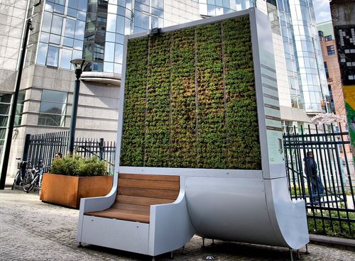 Amsterdam stopt met luchtzuiverende Citytrees