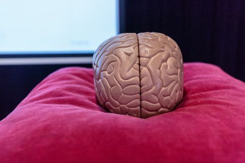 ‘De weerstand tot lopen is een foutje in de hersenen’