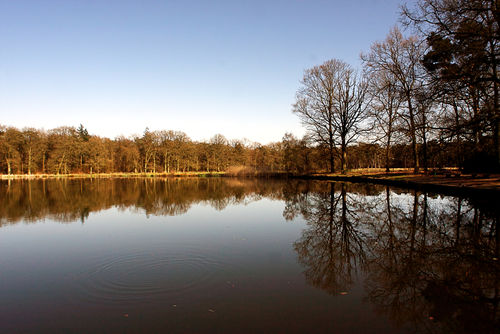 'Leefomgeving belangrijke rol voor geluksbepaling'
