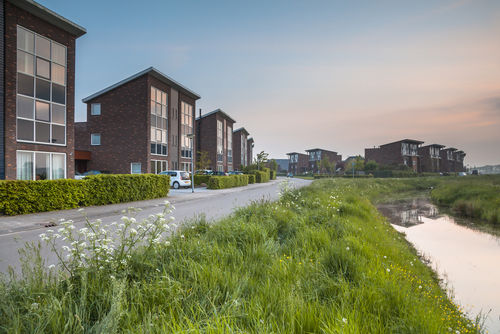 'Overheid zeer bepalend voor succes groene initiatieven'