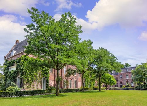 Tilburgers krijgen gratis toekomstbomen