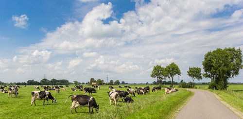 PBL: 'Zoek aansluiting bij burger voor betere leefomgeving'