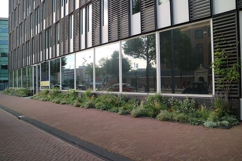 'Er zijn kansen om groenbeheer anders te benaderen'