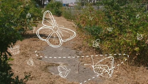 Meer biodiversiteit op Brabantse bedrijventerreinen