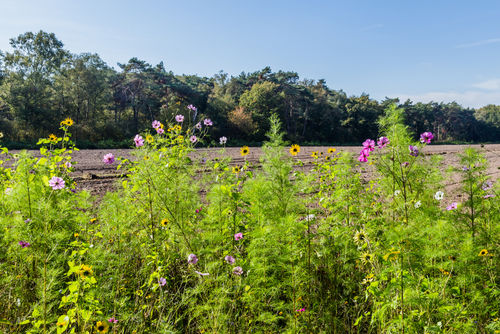 Samen voor Biodiversiteitsprijs voor boeren en particulieren