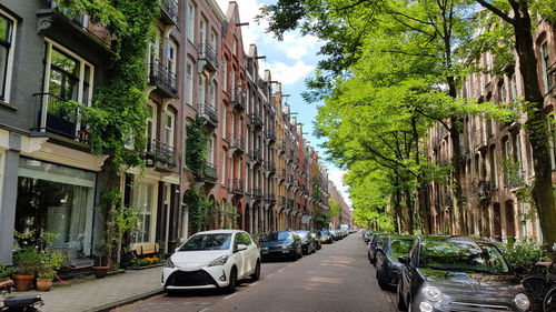 Een nuchtere kijk op parkeren