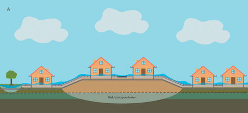 Kennis van bodem en ondergrond is essentieel voor effectieve klimaatadaptatie