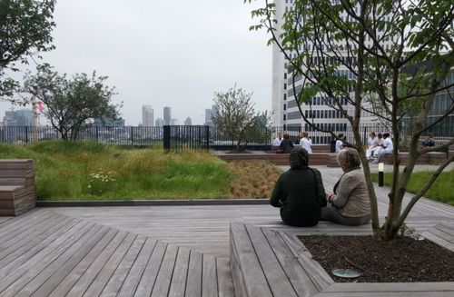 Daktuinen Erasmus MC voor een ieder toegankelijk