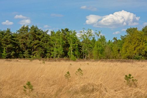 Bodemwaterconditie weer op normaal niveau