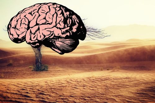 Duurzaam gedrag: de ultieme strijd met onze instincten