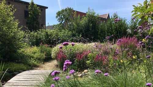 De Nationale Tuincheck nu beschikbaar in appstores