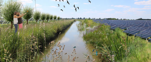 Groene inpassingsplannen zonneparken