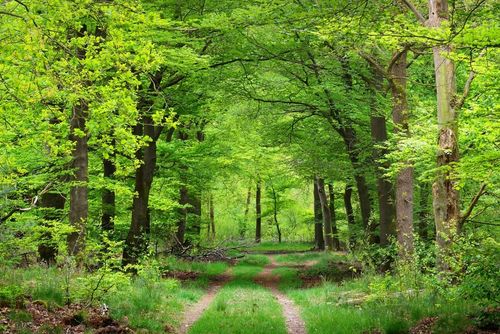 Ook dementerende oudere mag naar buiten
