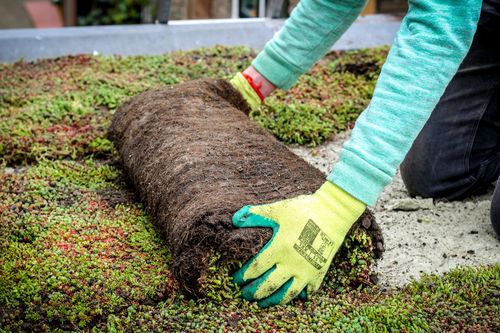 2 miljoen platte daken kunnen groen worden