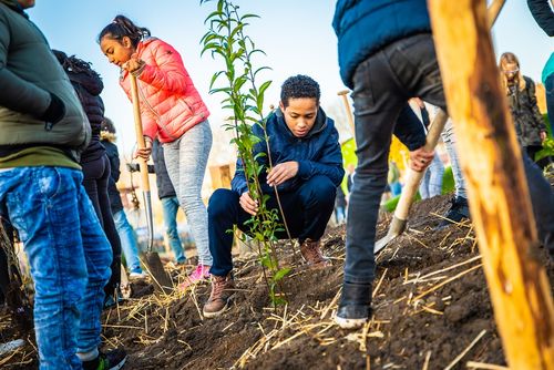 Een Tiny Forest in jouw gemeente? Zo regel je het.