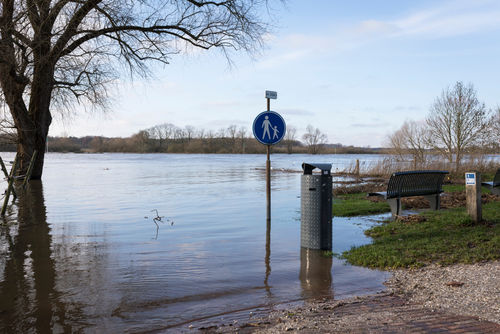Amsterdam Rainproof en waterparticipatie
