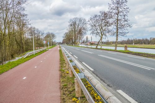 Wat te doen met bomen langs wegen?