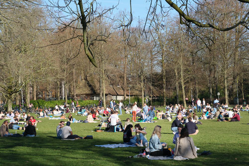 Utrecht bereikt jongeren met online participatieplatform