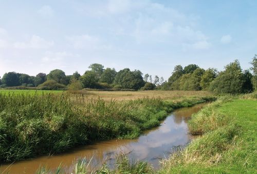 ‘Natuurinclusief bouwen moet aansluiten bij oorspronkelijke landschap’