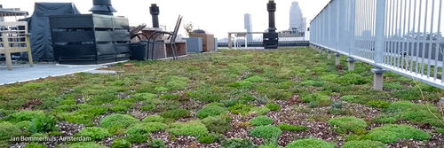 Dak Hogeschool van Amsterdam wordt proeftuin