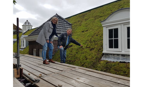 Kameleondak op honderdjarige Ottoburg Rijswijk