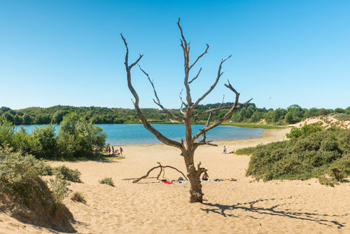 Noord-Holland pakt stikstofproblematief per regio aan