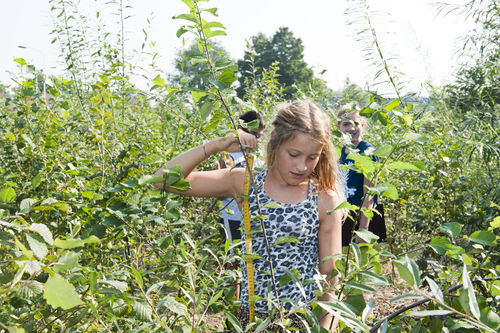 Tiny Forest geeft boost aan biodiversiteit