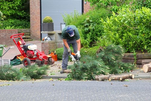 Burgerparticipatie in het groene domein; hoe doe je dat?
