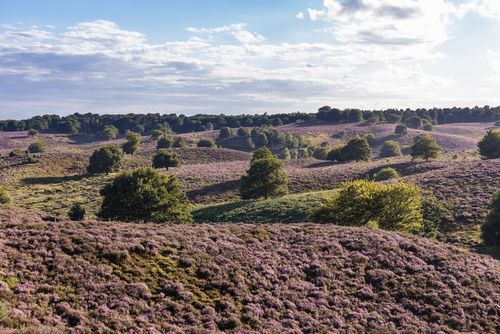 Nederlands landschap staat onder druk