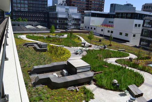 Groen polderdak in de stenige Zuidas