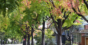 Bewoners aan basis Zwolse klimaatstraat