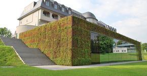 De sublieme groene ruimte