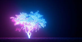 Light Challenge 2021 van start